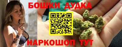 сатива Бузулук