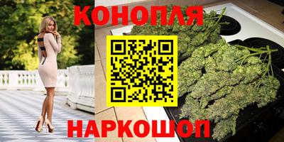 сатива Бузулук