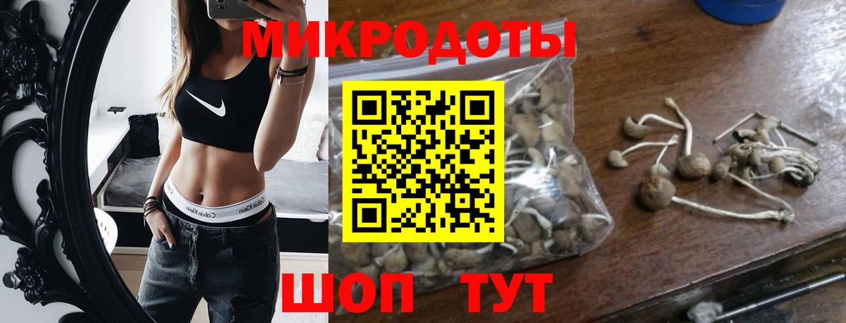 Саки  Псилоцибиновые грибы Cubensis  Галлюциногенные грибы мухоморы  Вход с VPN 